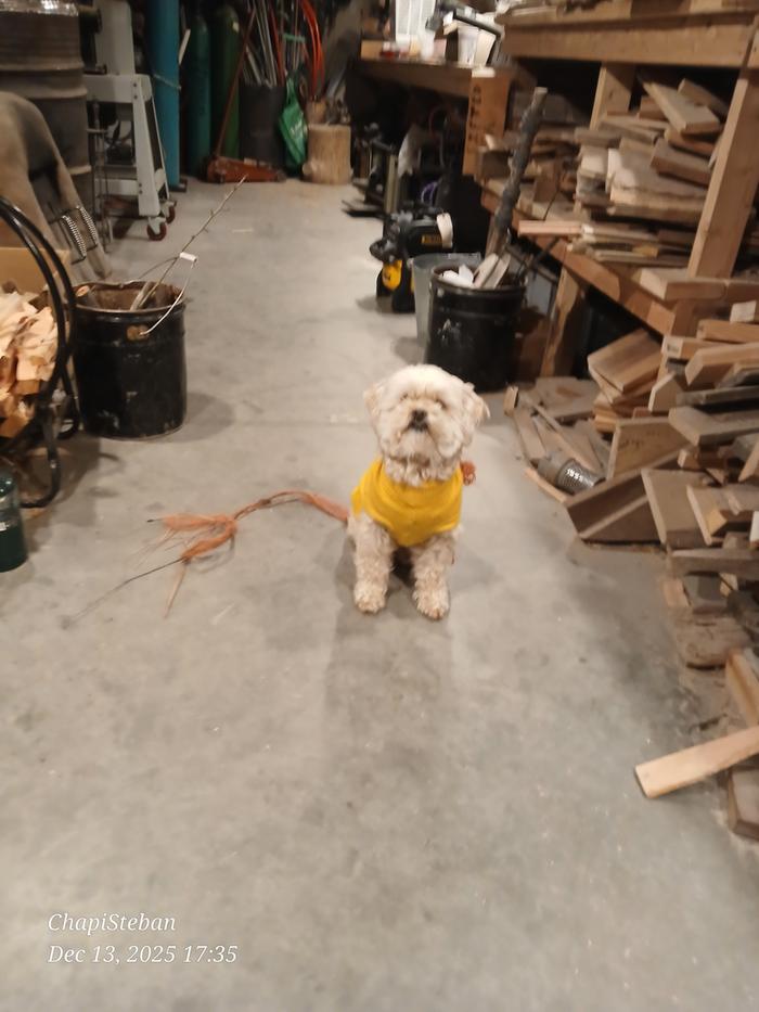 [Thumbnail for 20251213_173535.jpg]