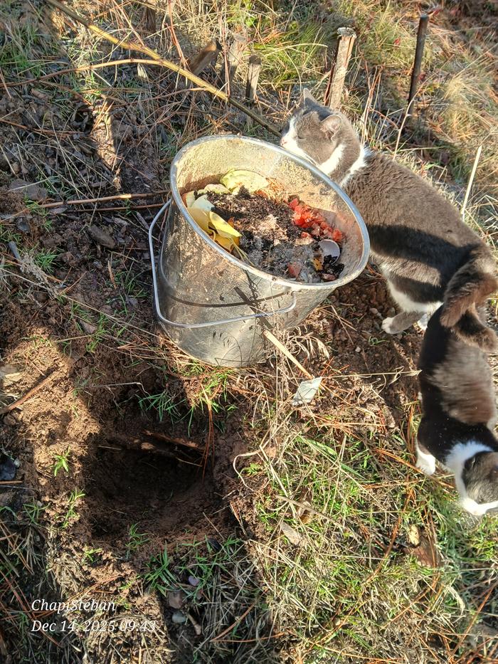 Such curious little cats lol