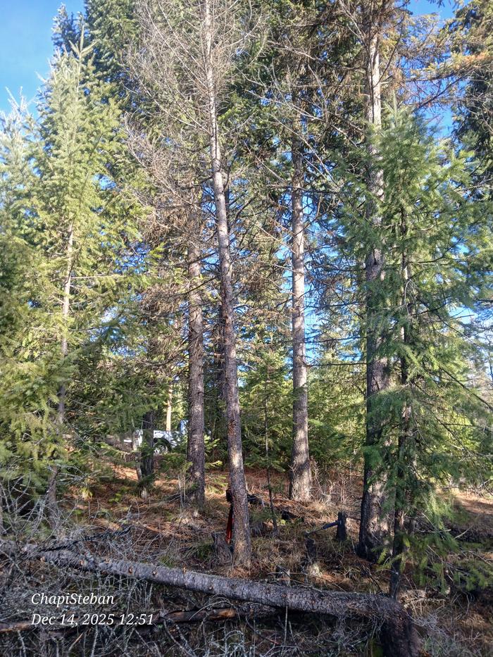 [Thumbnail for 20251214_125159.jpg]