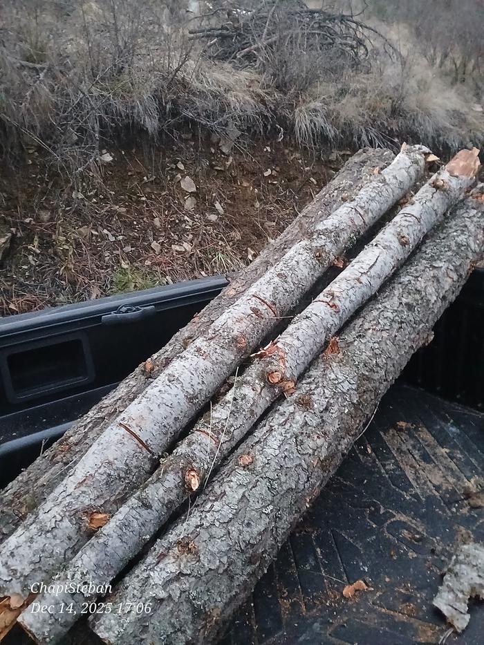 Bucked for transport down to shop