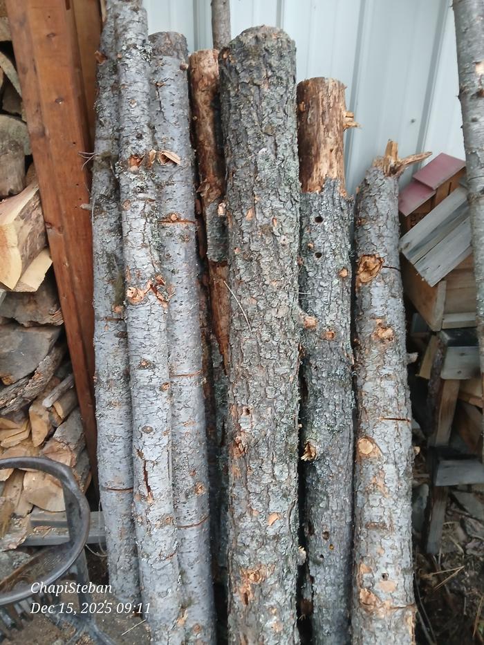 [Thumbnail for 20251215_091124.jpg]