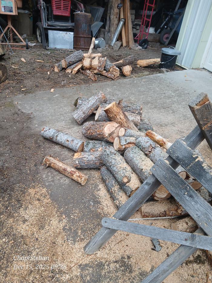 [Thumbnail for 20251215_093819.jpg]