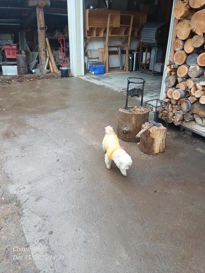 [Thumbnail for 20251215_143952.jpg]