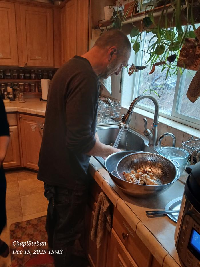 [Thumbnail for 20251215_154320.jpg]