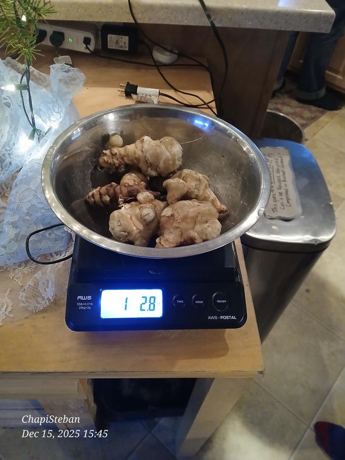 [Thumbnail for 20251215_154514.jpg]