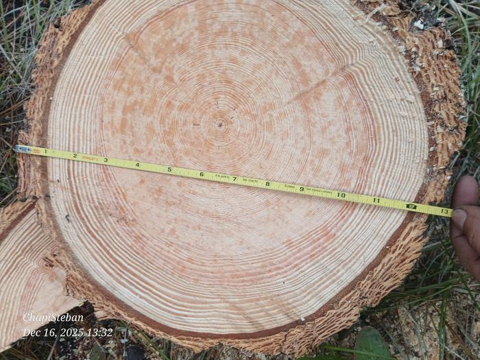 [Thumbnail for 20251216_133234.jpg]