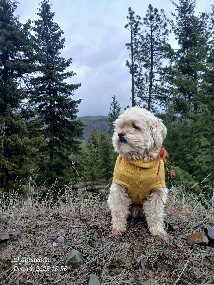 [Thumbnail for 20251216_155610.jpg]