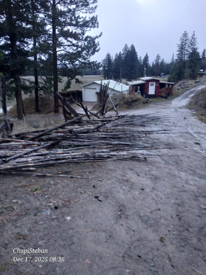 First thing we saw this morning 