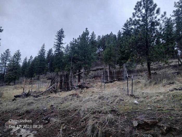 [Thumbnail for 20251217_083657.jpg]