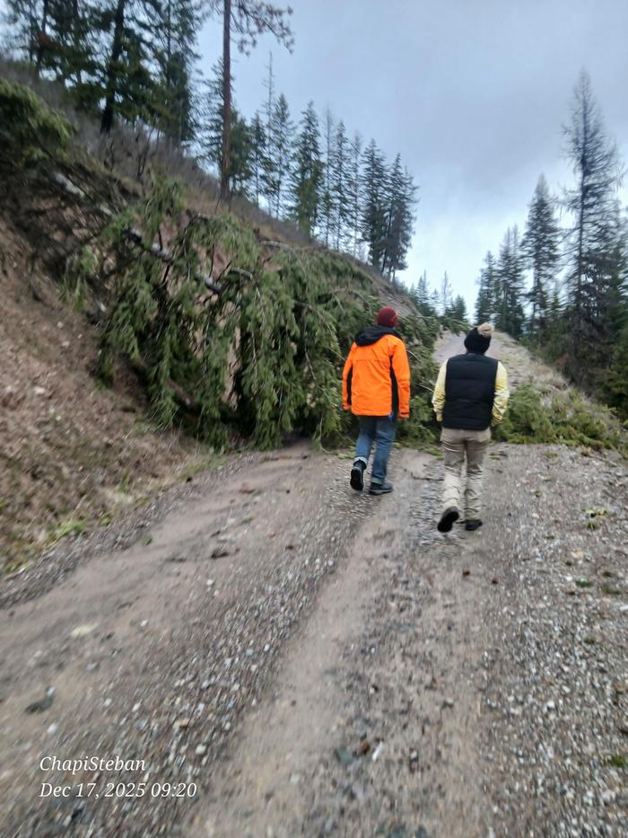 Blocked roads to the Abbey, but the cavalry came to save the day 