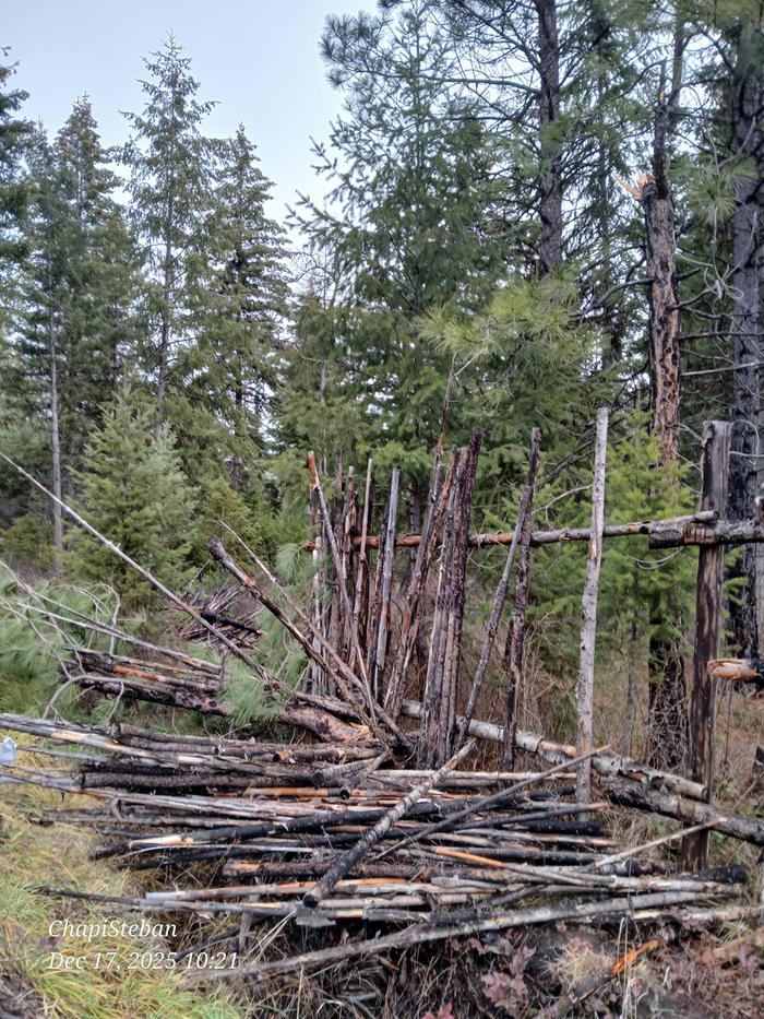 [Thumbnail for 20251217_102156.jpg]