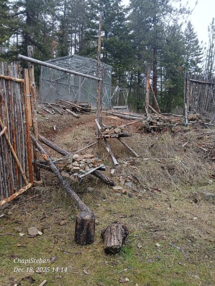 [Thumbnail for 20251218_141413.jpg]