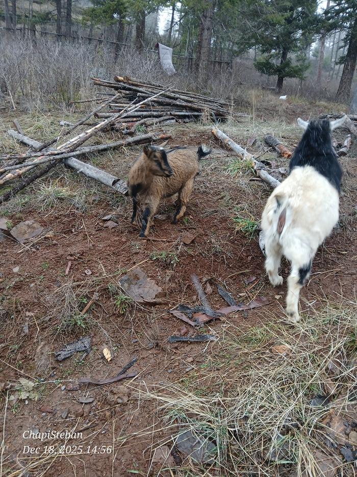 [Thumbnail for 20251218_145610.jpg]