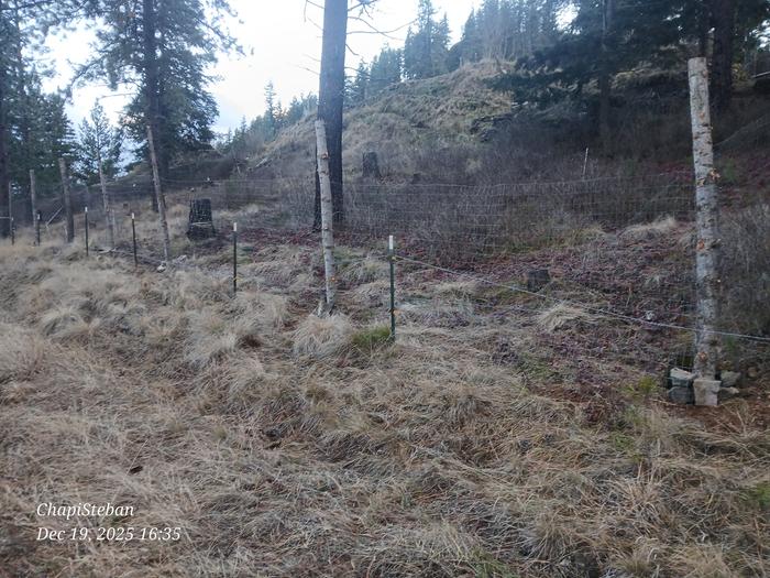 Fencing repair completed 