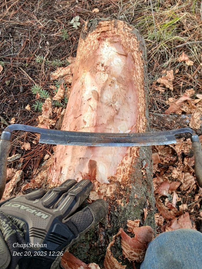 [Thumbnail for 20251220_122622.jpg]