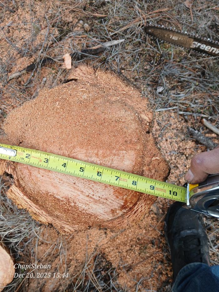 [Thumbnail for 20251220_154418.jpg]