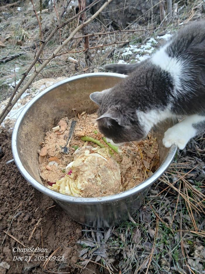 [Thumbnail for 20251221_092215.jpg]