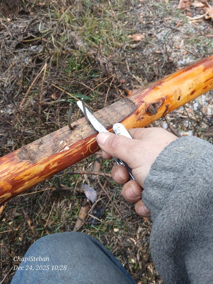 Using my Victorinox Spirit's metal saw to cut these pesky nails off 