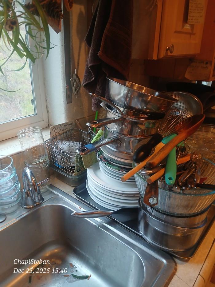 Washed, ready to be rinsed 