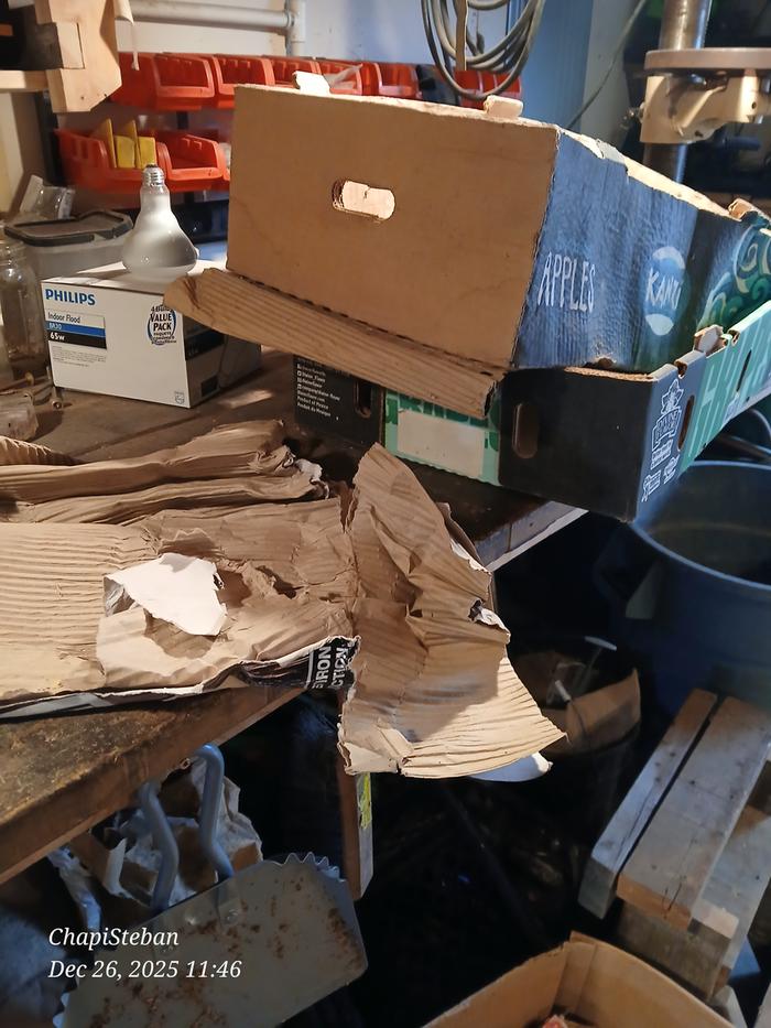 [Thumbnail for 20251226_114600.jpg]