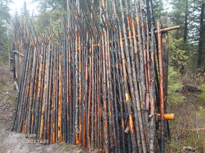 [Thumbnail for 20251226_143046.jpg]