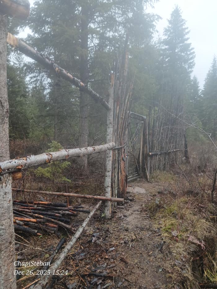 added top horizontal 