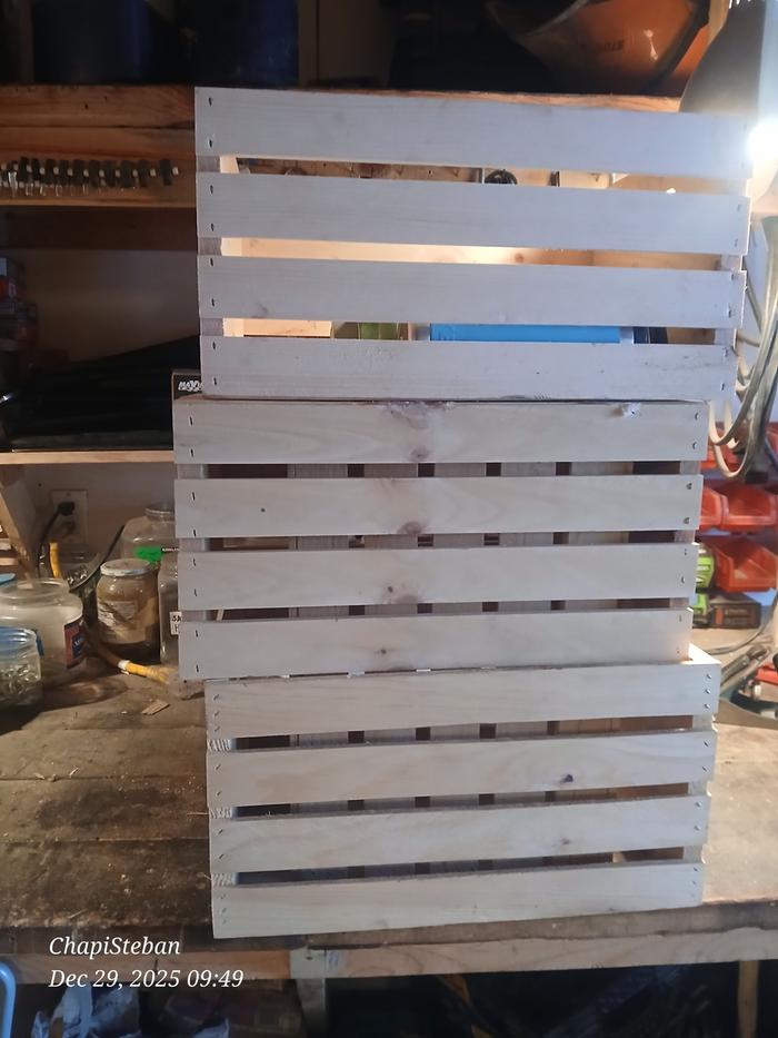 Time for the woody bits