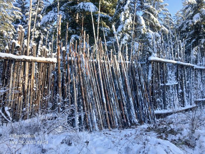 Junkpoles laid against a fence as a temporary fix