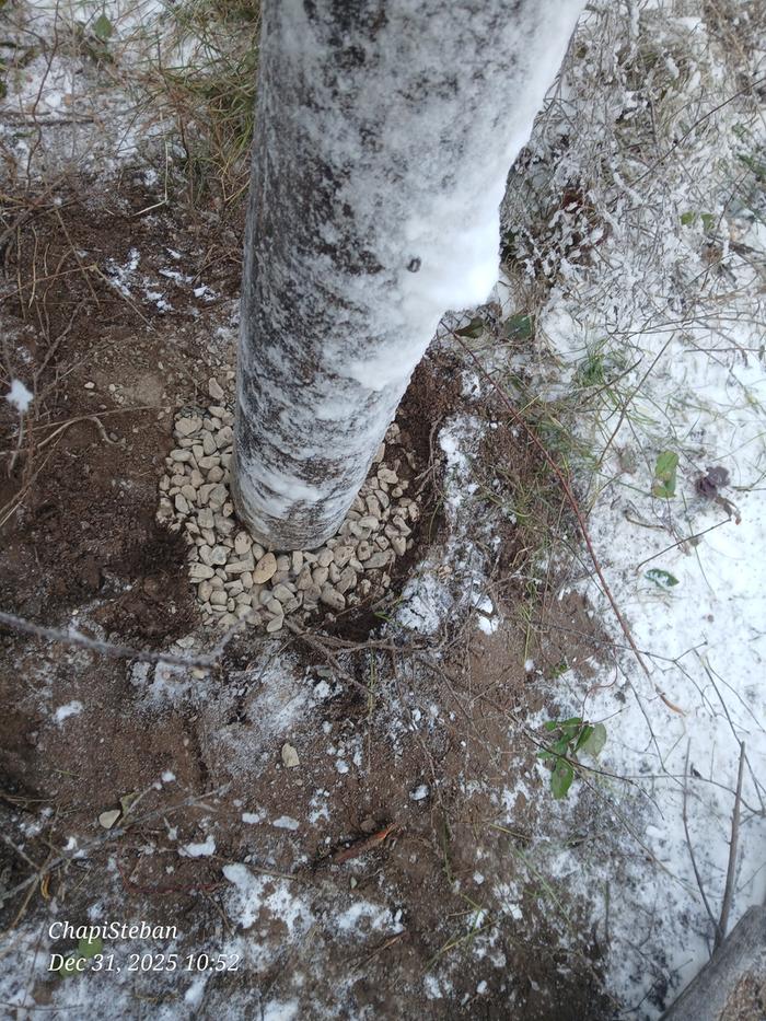 junkpole vertical pole set in a hole with a gravel sock