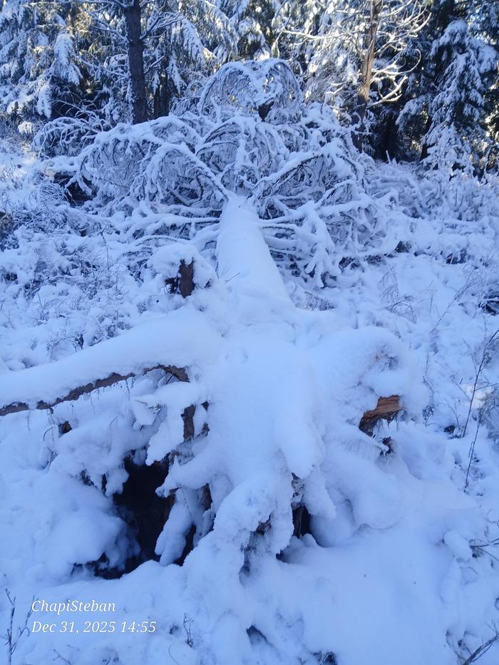 [Thumbnail for 20251231_145534.jpg]