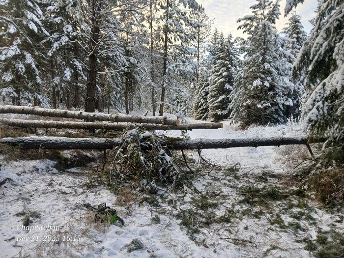 [Thumbnail for 20251231_161531.jpg]