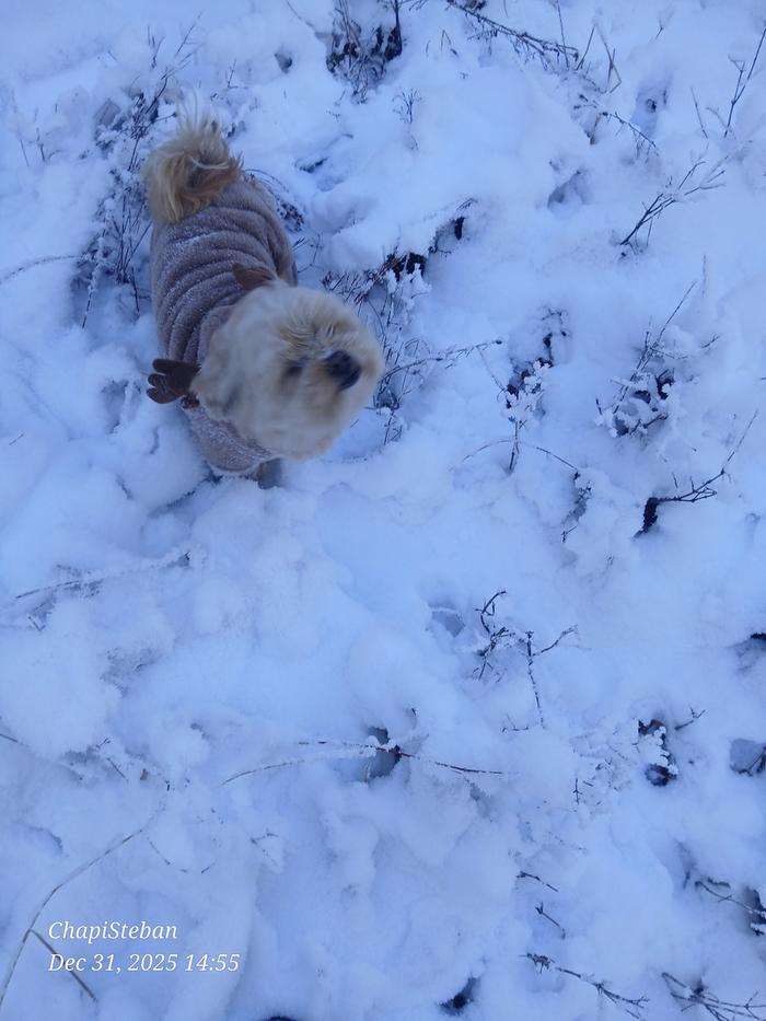 [Thumbnail for 20251231_145552.jpg]