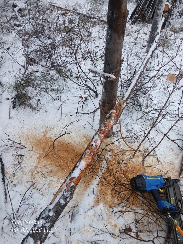 [Thumbnail for 20260102_110101.jpg]