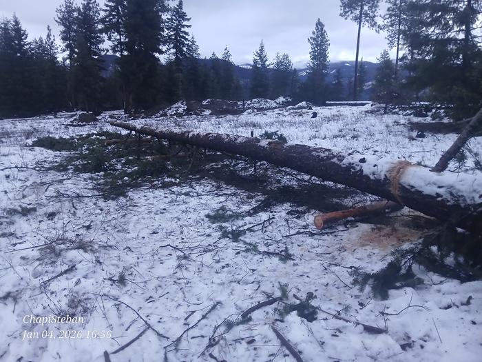 [Thumbnail for 20260104_165604.jpg]