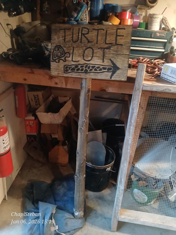 [Thumbnail for 20260106_151920.jpg]