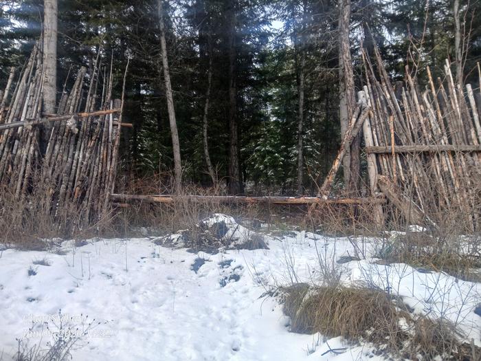 Panel to be completed 