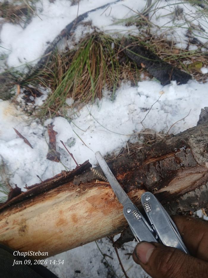 Forgot impact driver, using file on my Victorinox Spirit to cut off screw 