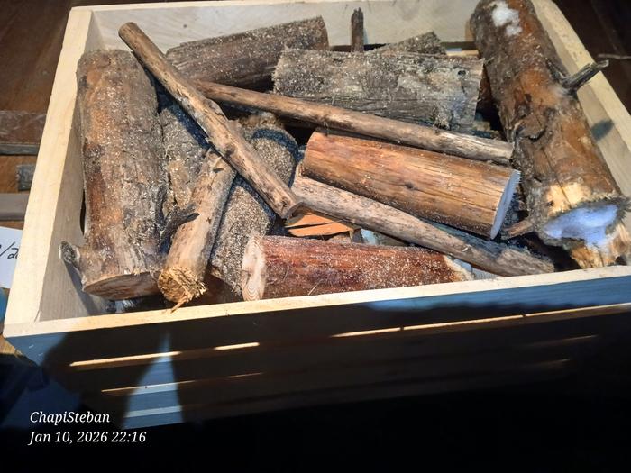 [Thumbnail for 20260110_221624.jpg]