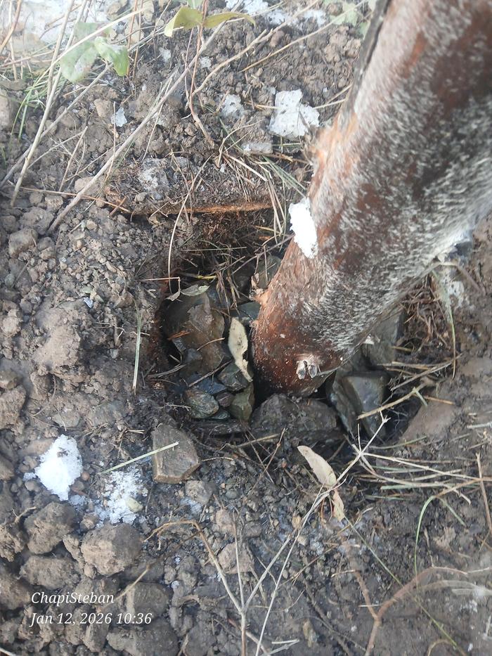 [Thumbnail for 20260112_103609.jpg]