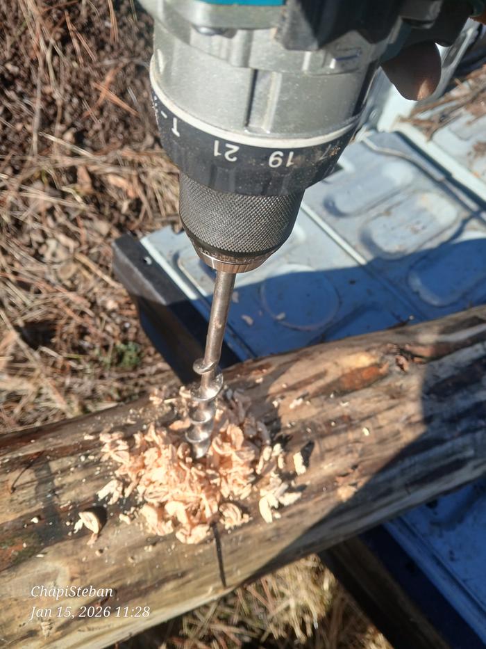 [Thumbnail for 20260115_112853.jpg]