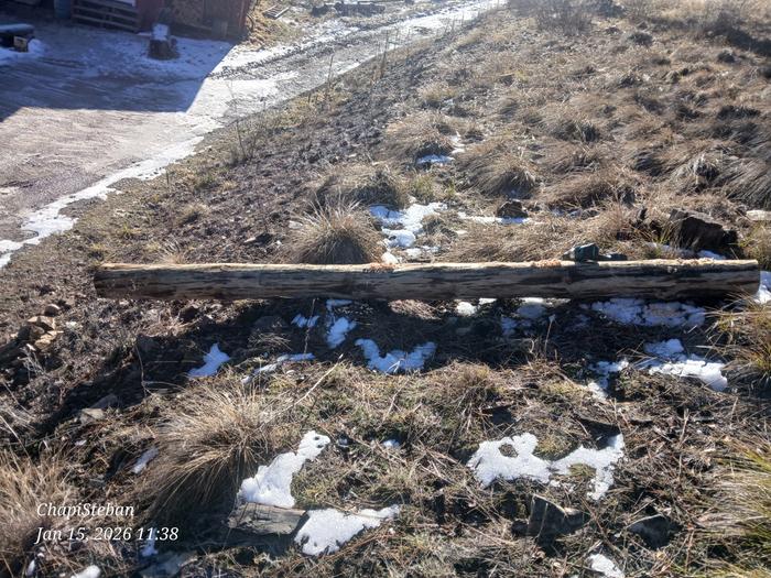 [Thumbnail for 20260115_113852.jpg]