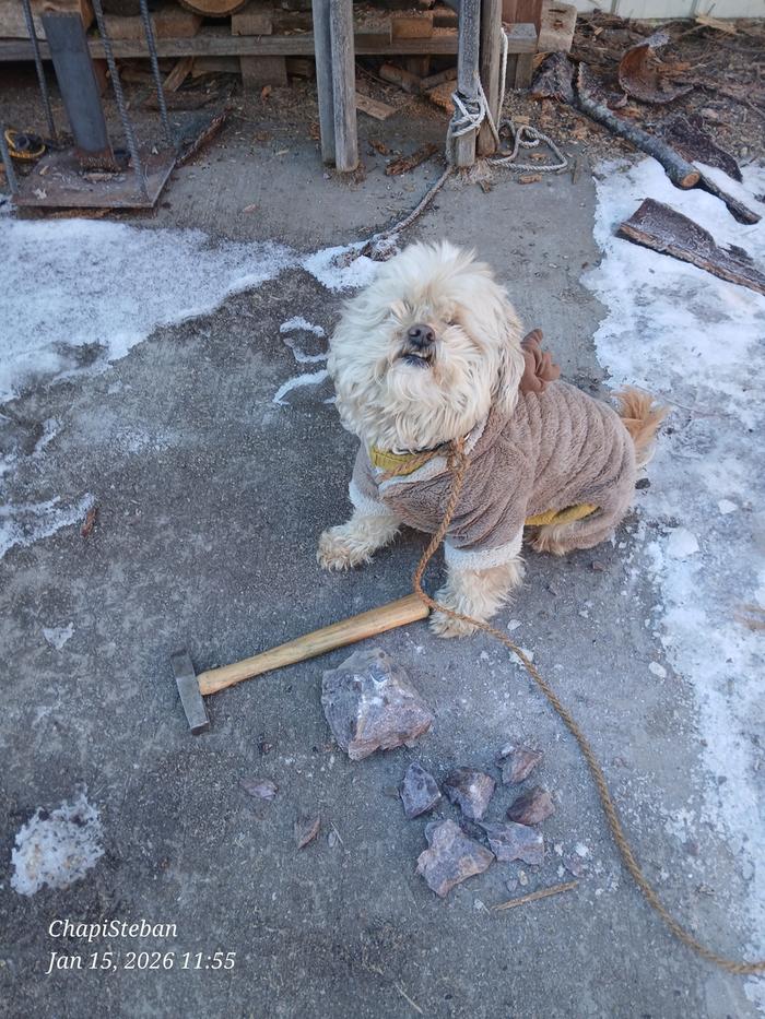 [Thumbnail for 20260115_115501.jpg]