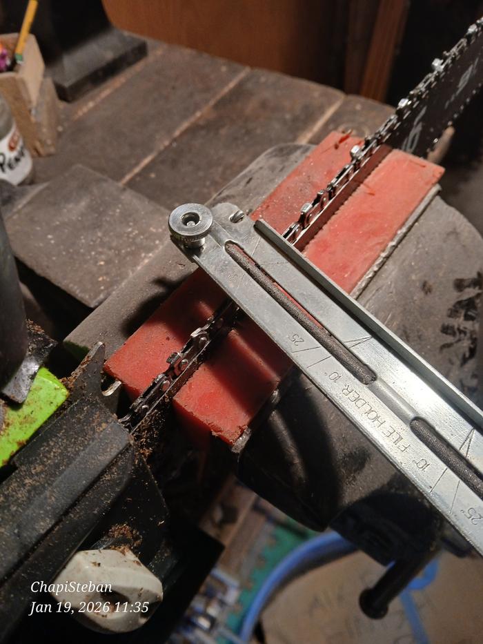 [Thumbnail for 20260119_113545.jpg]