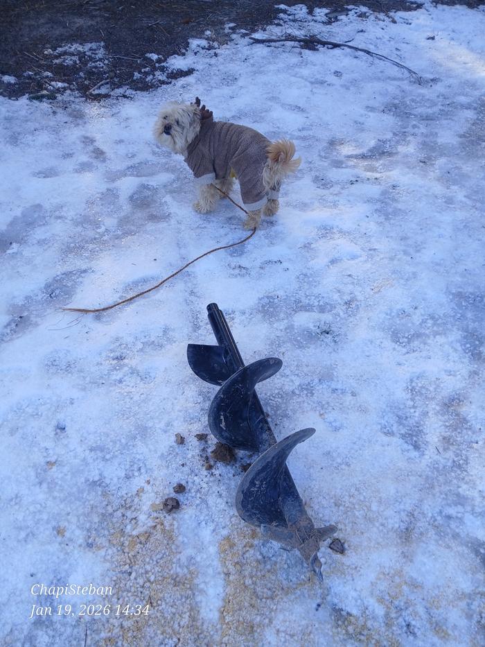 [Thumbnail for 20260119_143437.jpg]