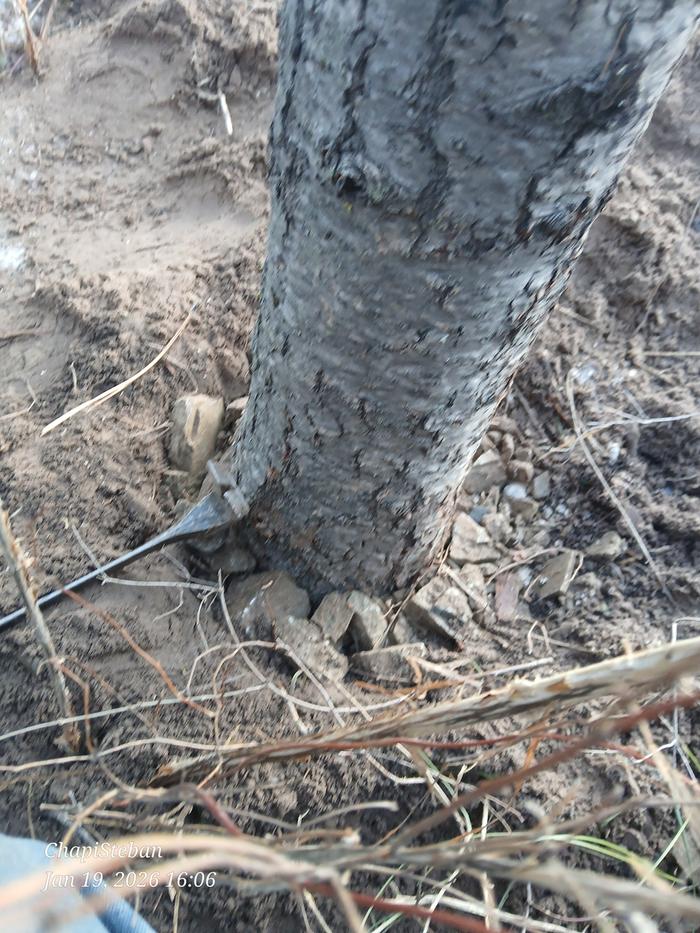 [Thumbnail for 20260119_160648.jpg]