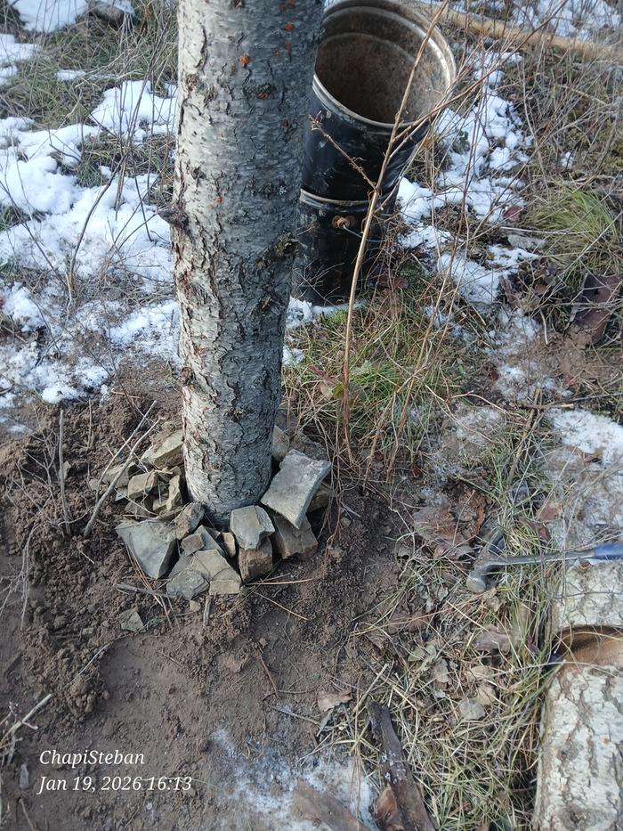 [Thumbnail for 20260119_161324.jpg]