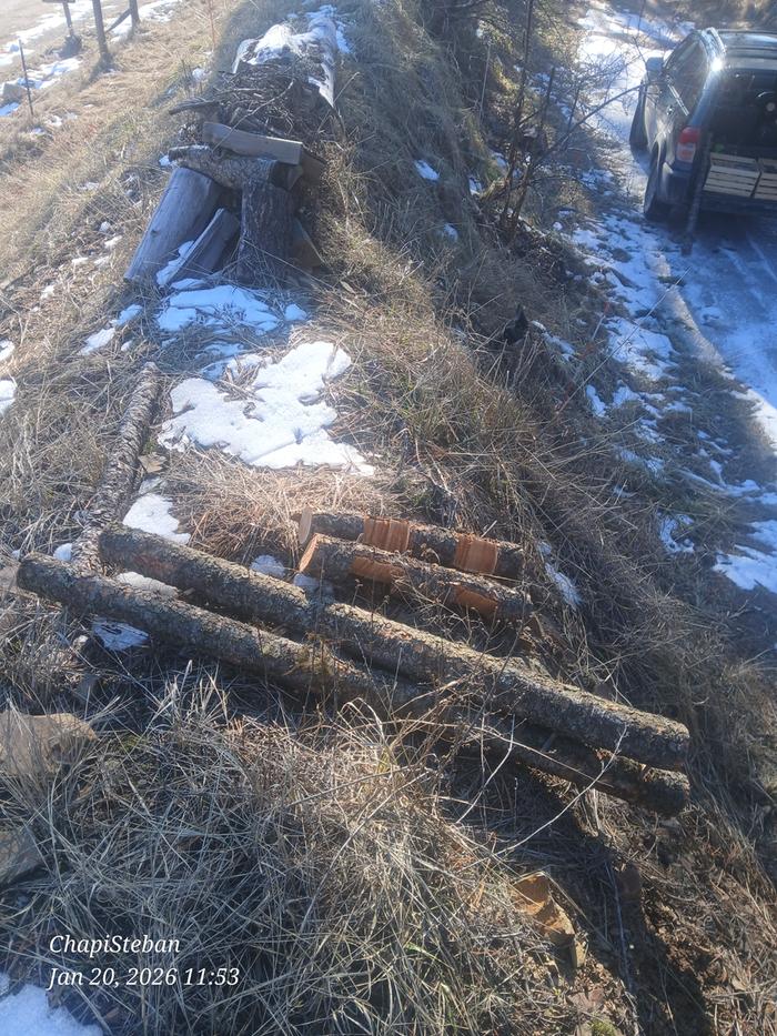 [Thumbnail for 20260120_115306.jpg]