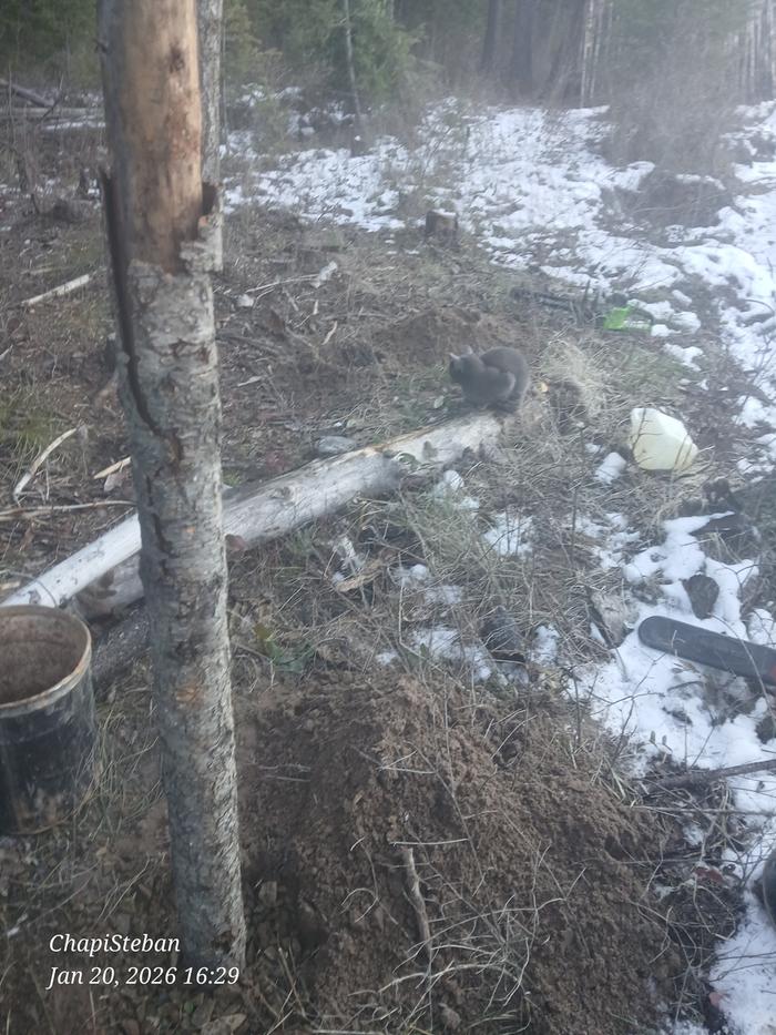 [Thumbnail for 20260120_162915.jpg]