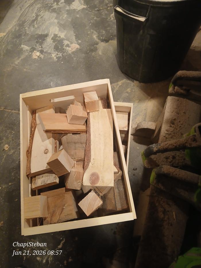 [Thumbnail for 20260121_085723.jpg]