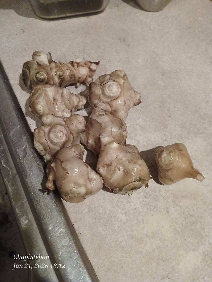 [Thumbnail for 20260121_181229.jpg]